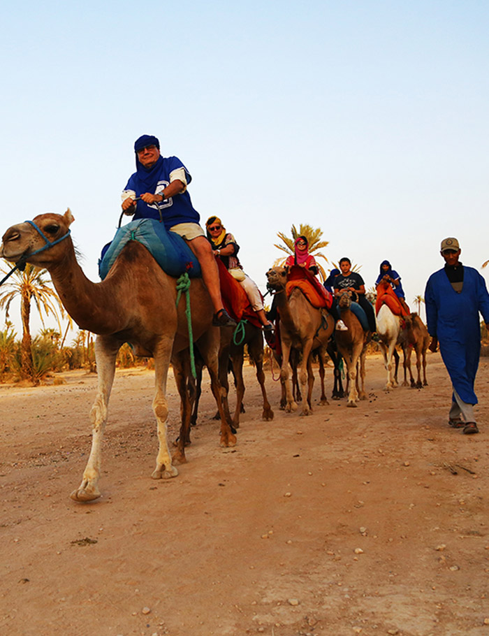 Camel-ride-in-marrakech-in-palmery-gorve